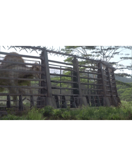¿Cual es tu escena favorita de Jurassic Park 3?