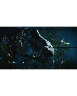 El nuevo dinosaurio de Jurassic World (Nombre, detalles y spoilers dentro)