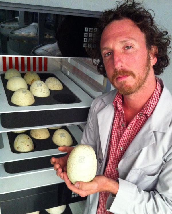 Algunos de los huevos usados en el rodaje de Jurassic World