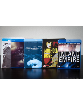 Colección Lynch Actualizada