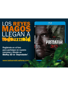 CONCURSO DE REYES EN TODOARNOLD