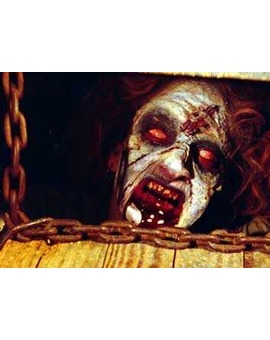 VUESTRA PELI FAVORITA DE "Posesiones demoníacas"
