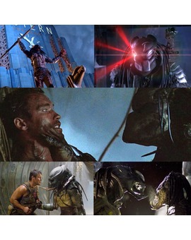 SAGA DEPREDADOR: Evolución y preferencias