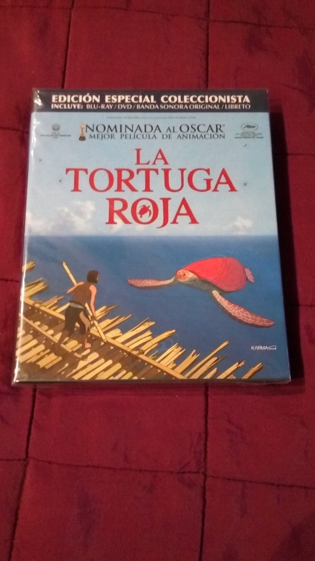 La tortuga llegó a casa 