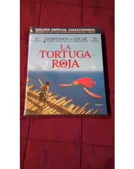 La tortuga llegó a casa 