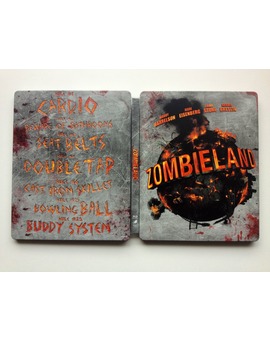 Steel Zombieland