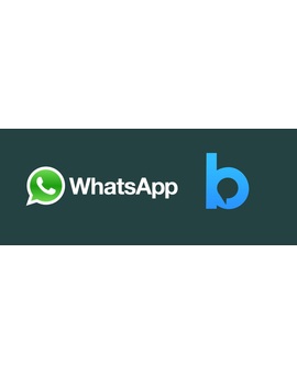 Grupo WhatsApp para sólo consultas, nada más 