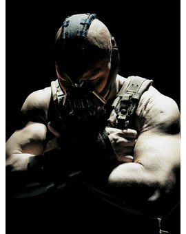 The Dark Knight Rise