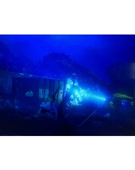 Cameo en Aquaman