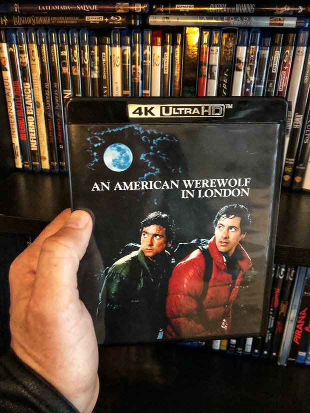 Un hombre lobo americano en 4k