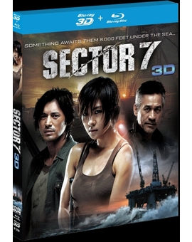 SECTOR 7
