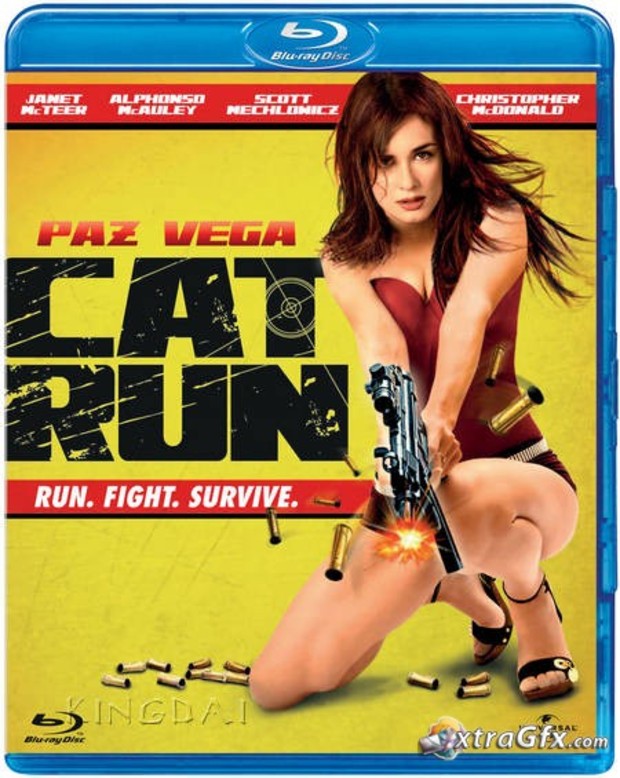 CAT RUN