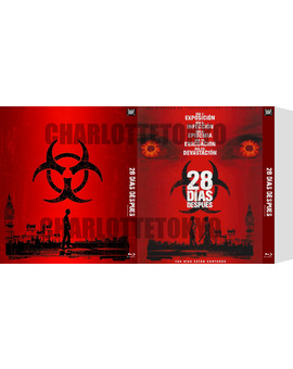 Custom Slipcover 28 Días Después (CharlotteTokyo)