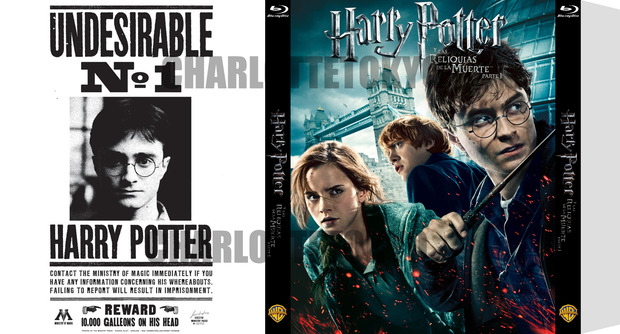 Custom Slipcover  Harry Potter y las Reliquias de la Muerte: Parte I (CharlotteTokyo)