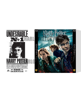Custom Slipcover  Harry Potter y las Reliquias de la Muerte: Parte I (CharlotteTokyo)