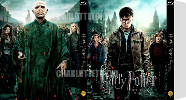 Custom Slipcover Harry Potter y las Reliquias de la Muerte: Parte II (CharlotteTokyo)