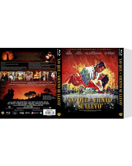 Custom Slipcover Lo que el viento se llevó (1/5)(Pápa Gorila/CharlotteTokyo)