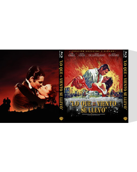 Custom Slipcover Lo que el viento se llevó (2/5) (Pápa Gorila/CharlotteTokyo)