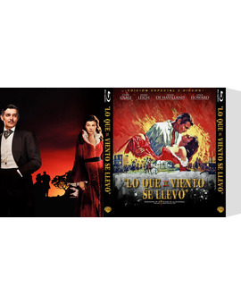 Custom Slipcover Lo que el viento se llevó (3/5) (Pápa Gorila/CharlotteTokyo)