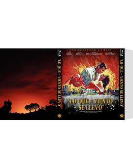 Custom Slipcover Lo que el viento se llevó (4/5) (Pápa Gorila/CharlotteTokyo)