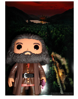 Pedido amazon.es - (31/08/15) 