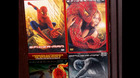 Spider-man-saga-dvd-c_s
