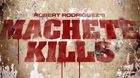 Machete-kills-poster-c_s