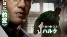 Poster-bruce-banner-the-hulk-c_s