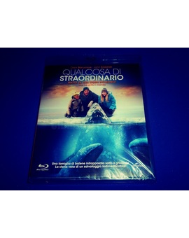 Pedido amazon.es - Gracias aviso Mubis (21-08-17)