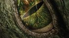 The-amazing-spider-man-lagarto-c_s