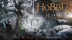 Banner-the-hobbit-12-14-12-c_s