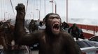 Dawn-of-the-planet-of-the-apes-reescribe-el-guion-un-lobezno-c_s