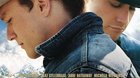Brokeback-mountain-blu-ray-cover-49-c_s