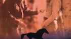 Francia-the-horse-whisperer-blu-ray-lhomme-qui-murmurait-a-loreille-des-chevaux-c_s