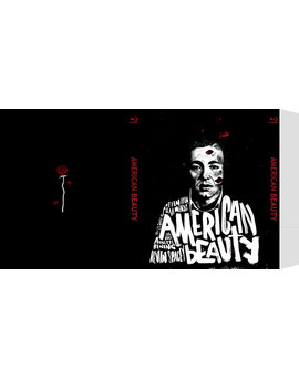 Slipcover: American Beauty (yoyas89)