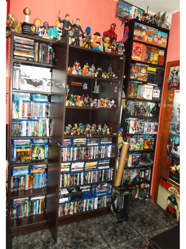  Mi colección al acabar el año 2013 (CharlotteTokyo)