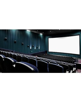 ¿Cuantas películas has visto este año en el cine? (2013)