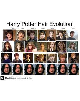  "Looks Harry potter y compañía"