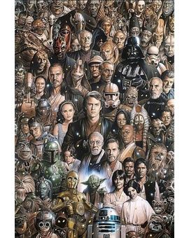 Vuestro personaje preferido de "Star Wars" es..?