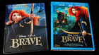 Brave-usa-viva-metal-slipcover-c_s