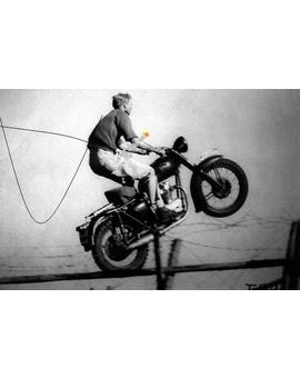 Mcqueen y su bestia