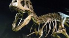 Cuando-los-dinosaurios-dominaban-la-tierra-otra-vez-c_s