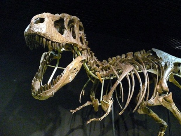 Cuando los dinosaurios dominaban la Tierra... otra vez