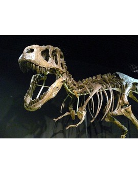 Cuando los dinosaurios dominaban la Tierra... otra vez