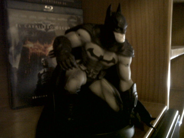 Batman Arkham City (Collector Edition) 4