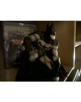 Batman Arkham City (Collector Edition) 4