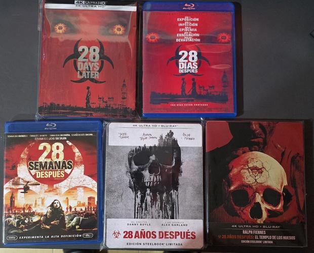 28 dias/semanas/años