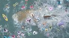 Primer-trailer-de-the-meg-c_s