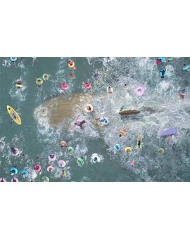 Primer tráiler de The Meg