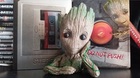 Llega-groot-a-la-coleccion-c_s